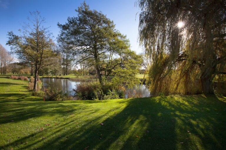 6 p1d8h13u581rj9191c4tms4u1r6me 768x512