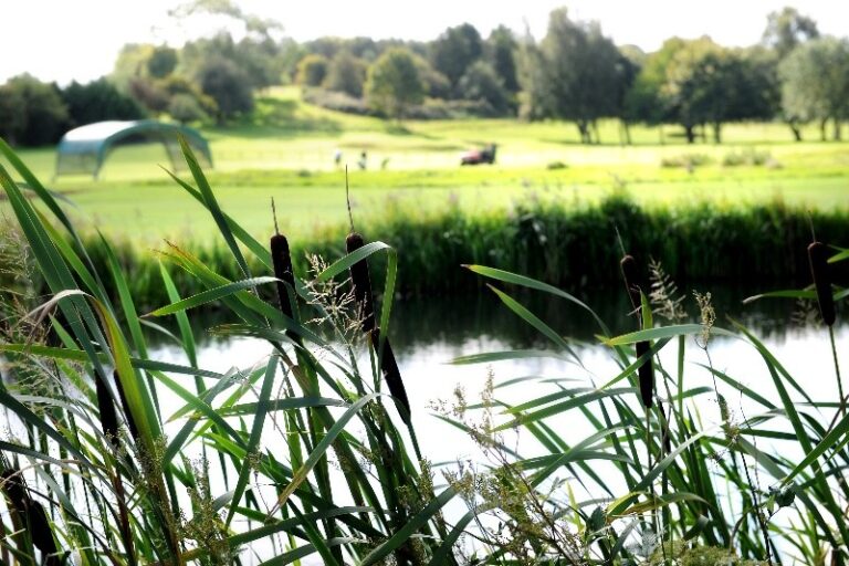 7 p1d8h140f819quvl7g7tonk1rlf 768x512