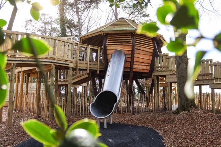 8 p1f0er68rpta01c4c1r3fqkgjldd 768x512