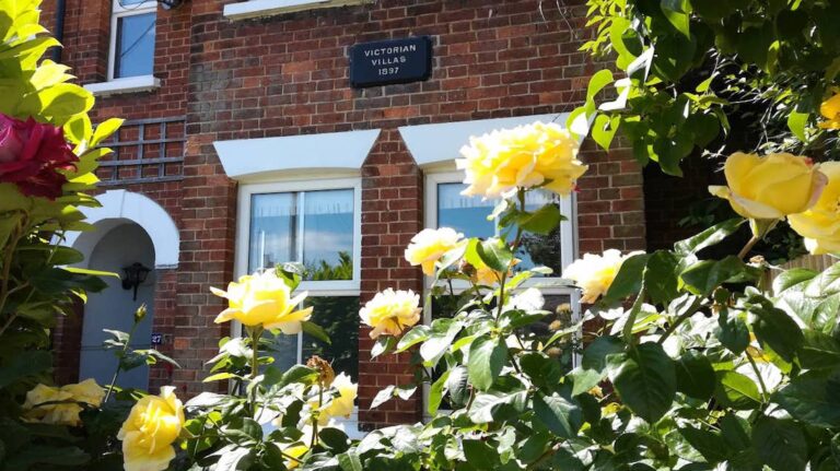 img belmontmain 768x431