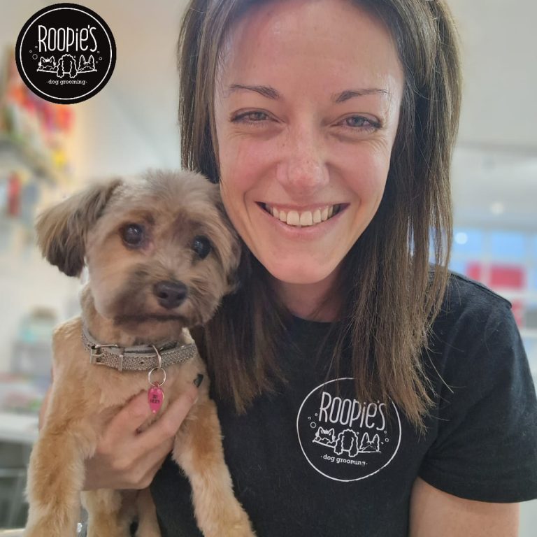 367729377 247230224933006 5139367160420832623 n 768x768