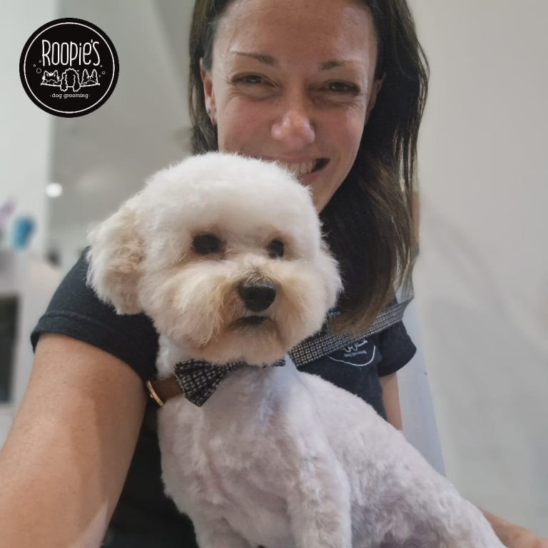 377490436 263988373257191 1322960114957711613 n 768x768