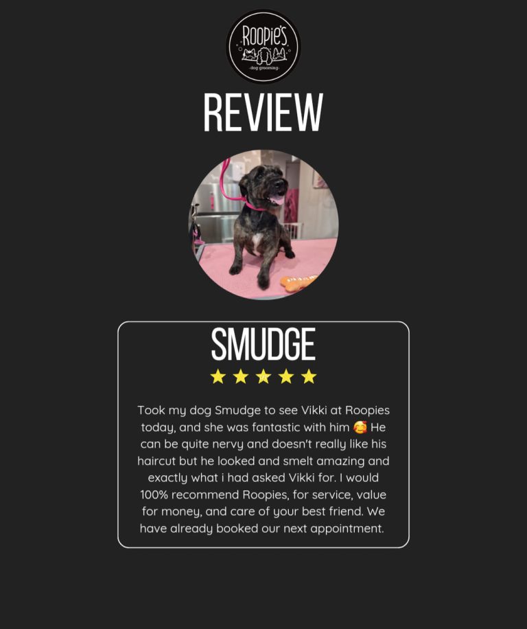 385873173 277947865194575 4368961483922496254 n 768x916