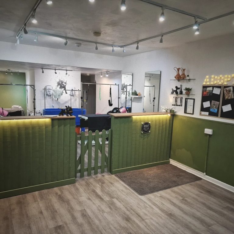 417106535 334264842896210 7483884668877604511 n 768x768