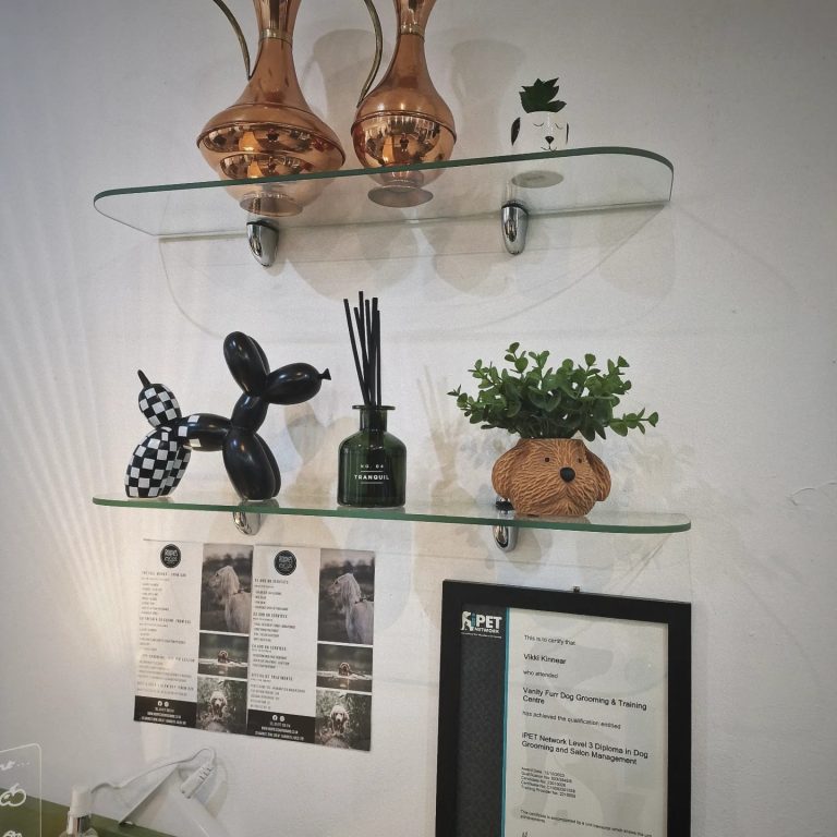 417108600 334264836229544 1276150857461725381 n 768x768