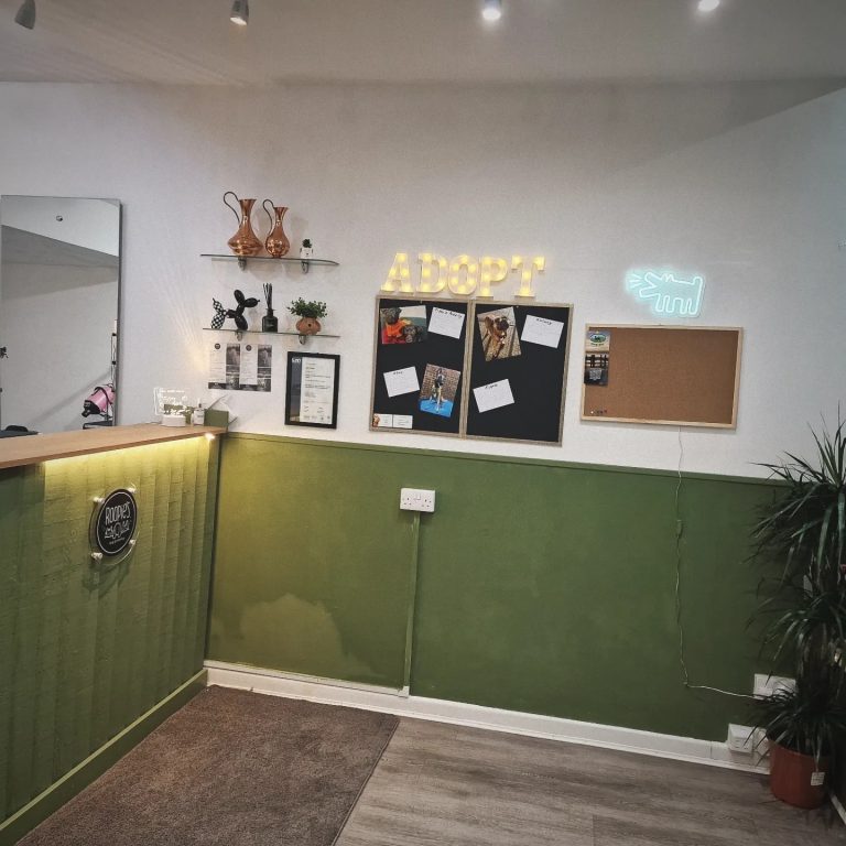 417113019 334264859562875 1656096753548094663 n 768x768