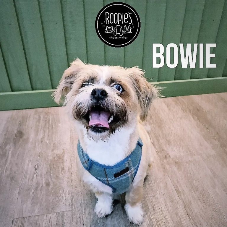 437875978 394601570195870 4898460474707816687 n 768x768