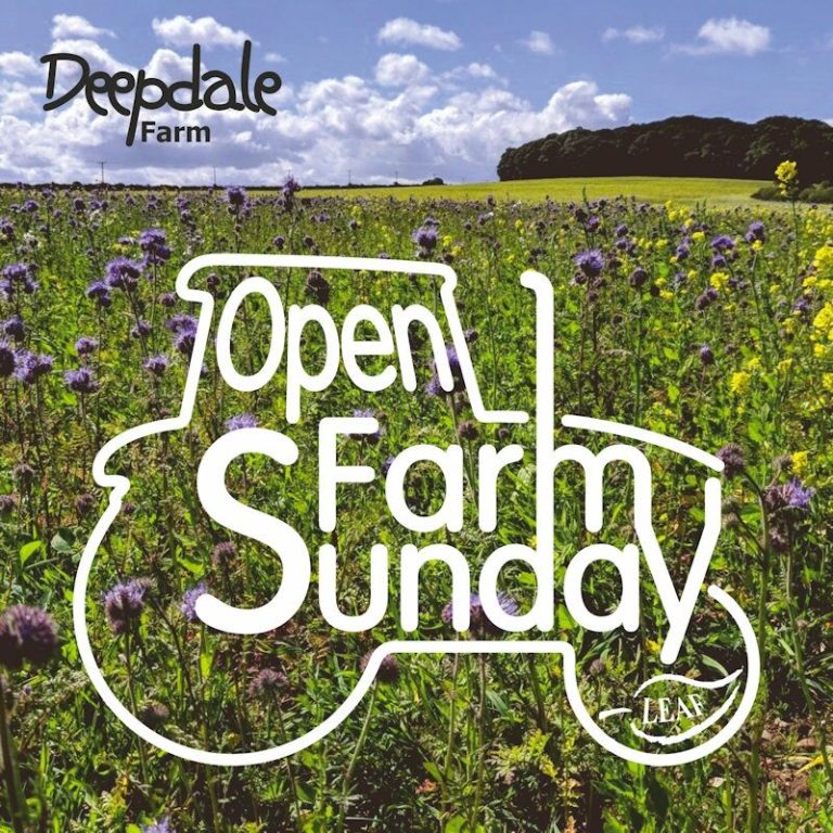 open farm sunday deepdale farm 2022 11 e1653137772184 768x768