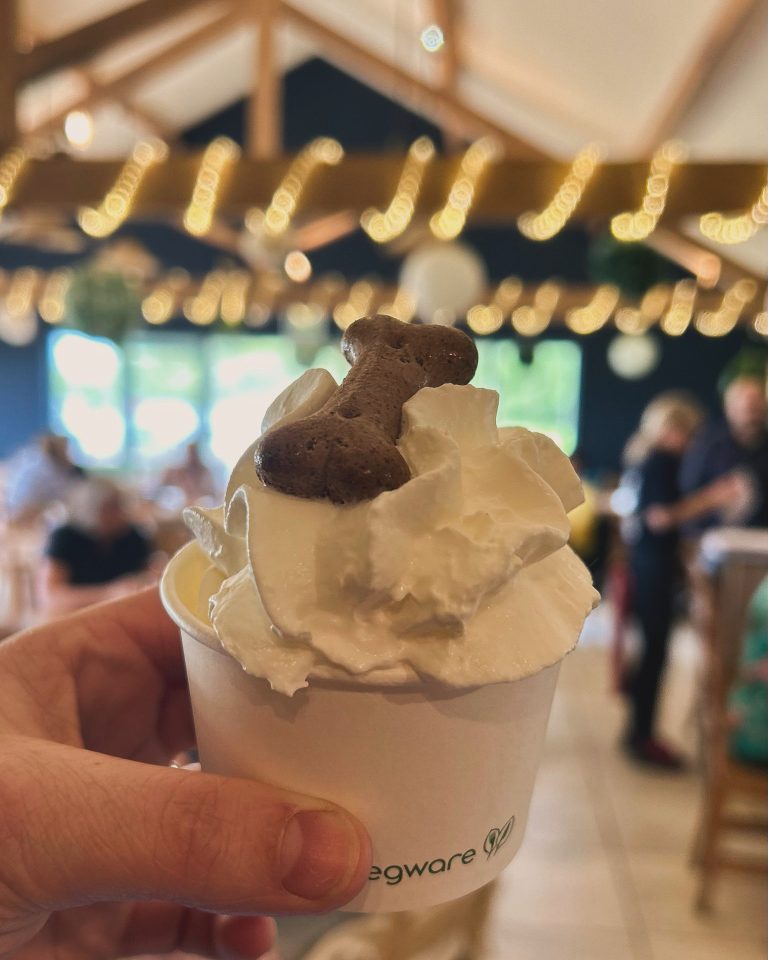 087C2DC9 8958 4FB0 ADBB 4422086CAEE1 768x960