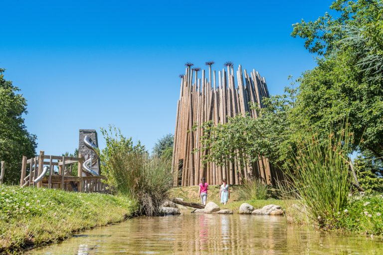 2018 06 30 WildRootz 3 Steve Adams 2 768x513