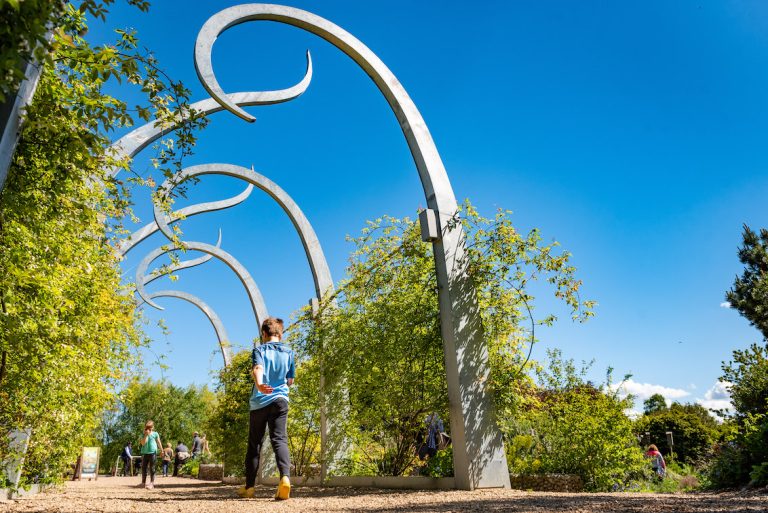 2019 05 12 Sculpture Steve Adams 768x513