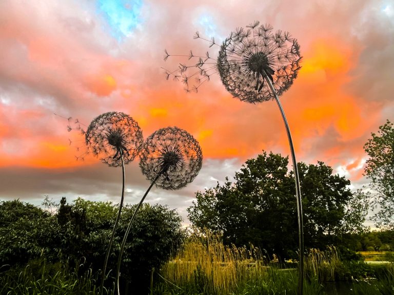 Sunset Glade Garden 4 768x576