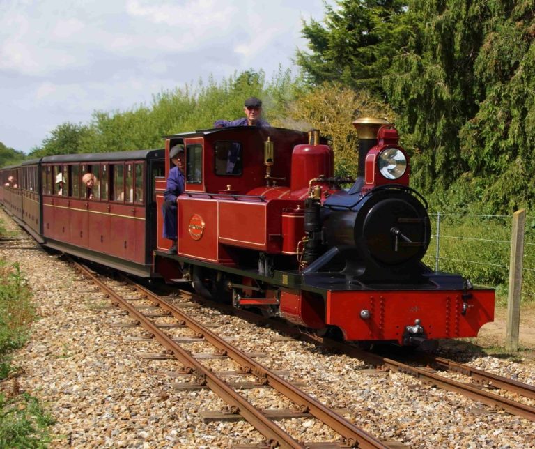 Grandparents Day Train 768x644