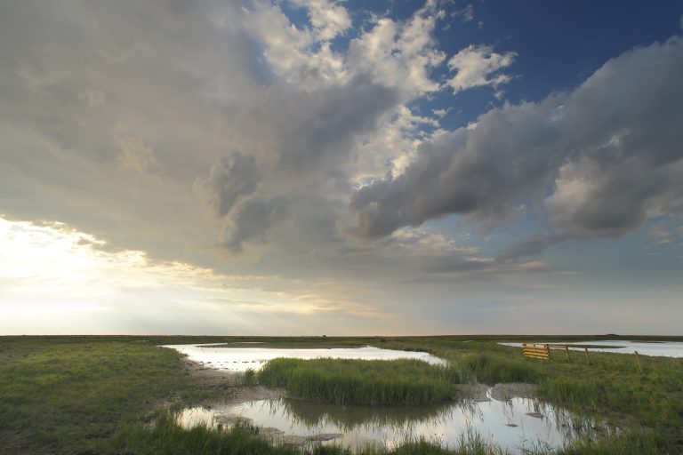 Cley Marshes credit Richard Osbourne 16 min 1 768x512