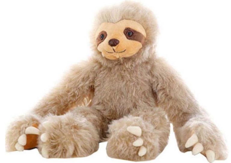 473621942 122166530984285595 6796943297936376488 n 1 768x545