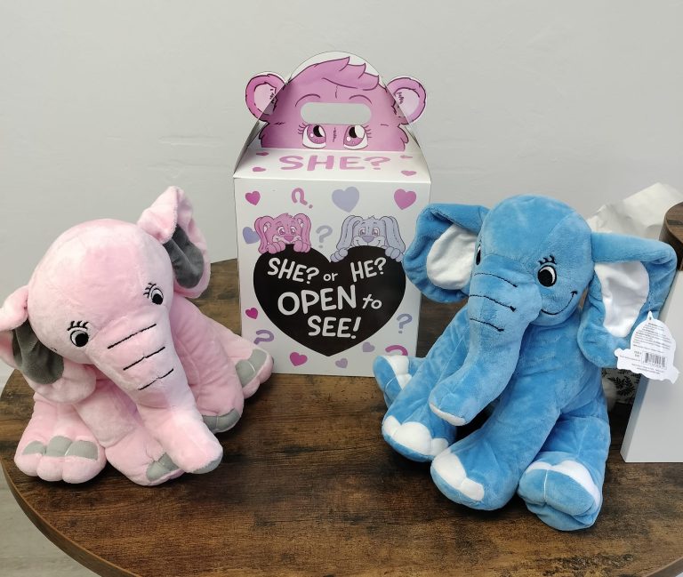 475425180 122169218012285595 6889886287366260306 n 768x649