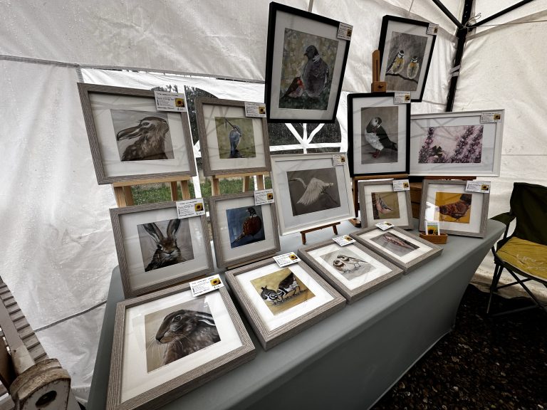 Earth Energy Art @ Reepham Market 768x576