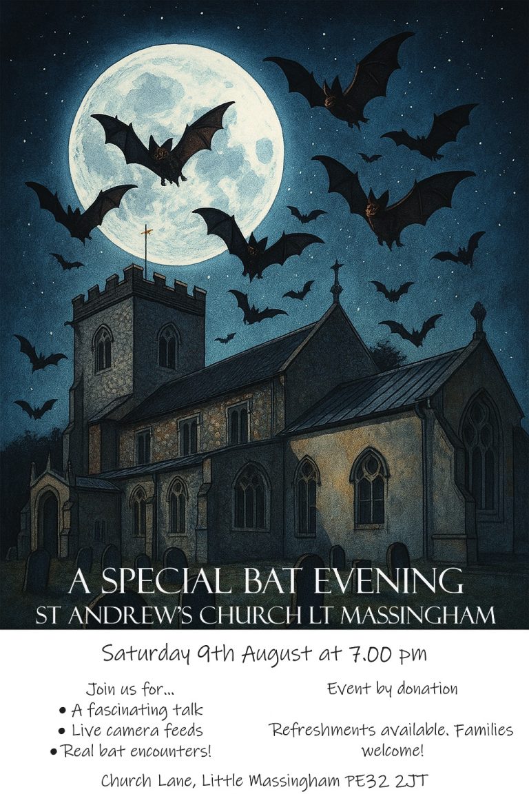 LM Bat Poster v1 768x1152