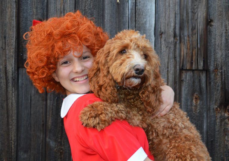1 Annie and Sandy played by Clementine and Penny 768x539