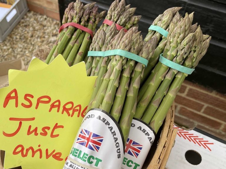 Asparagus 768x576