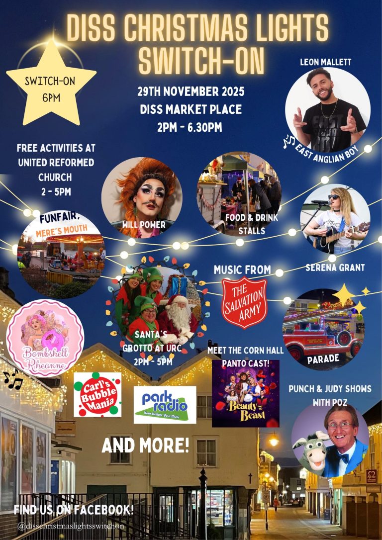 Diss Christmas Lights Poster 768x1086