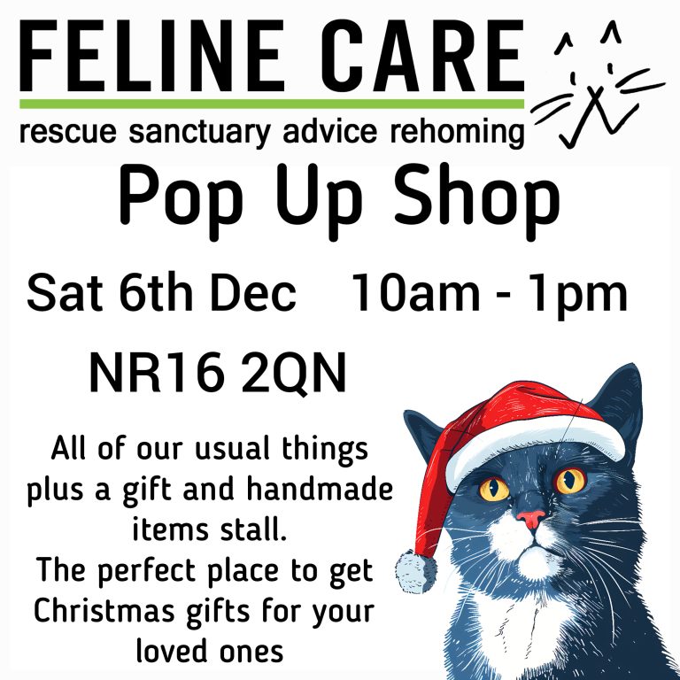 Lumii 20251105 164425426 768x768