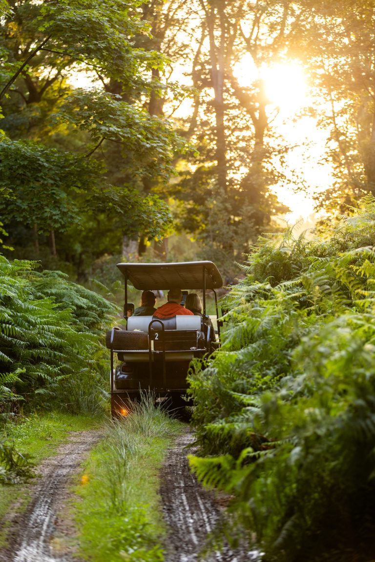 Buggy on Twilight tour Gareth Clifford 768x1152