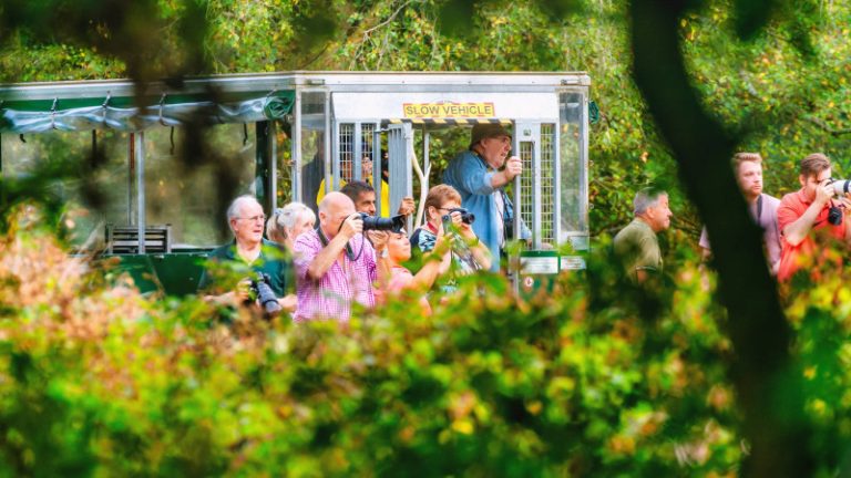 Guided Photography tour 768x432