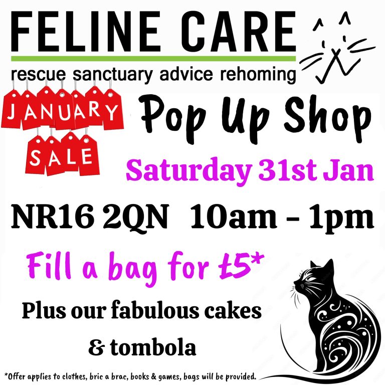 Lumii 20251202 114545829 768x768