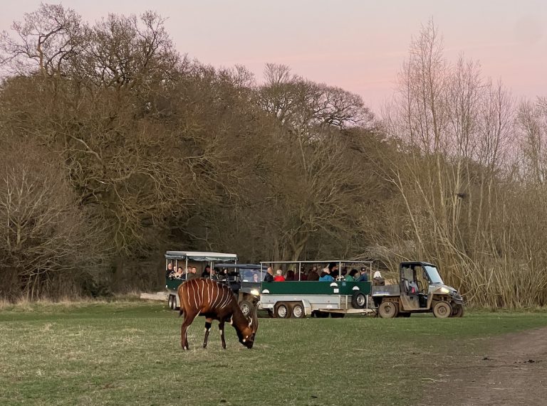 Private Trailer Tour 1 768x571