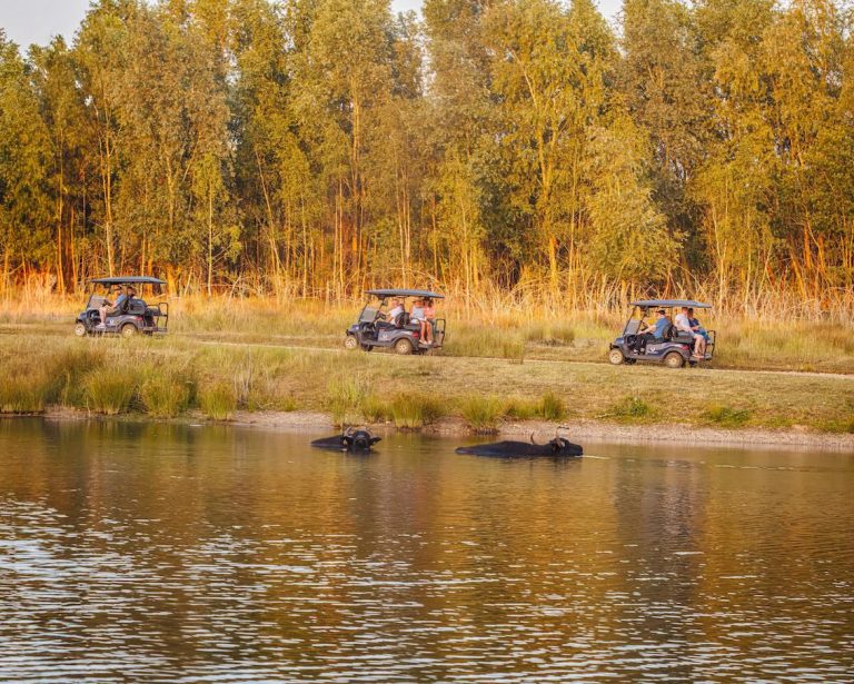 Safari Twilight Tour by Gareth Clifford 768x615