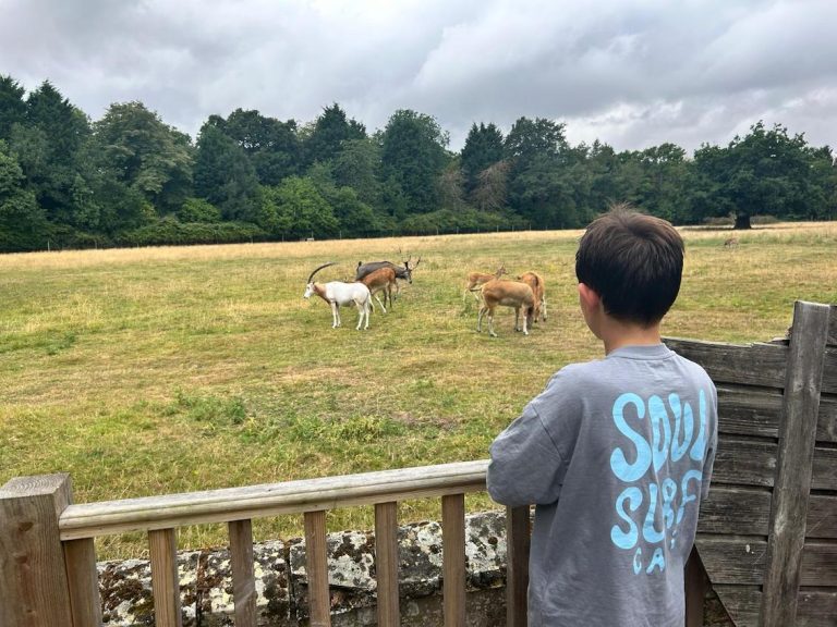 Spotting animals at Stable Cottage 768x576