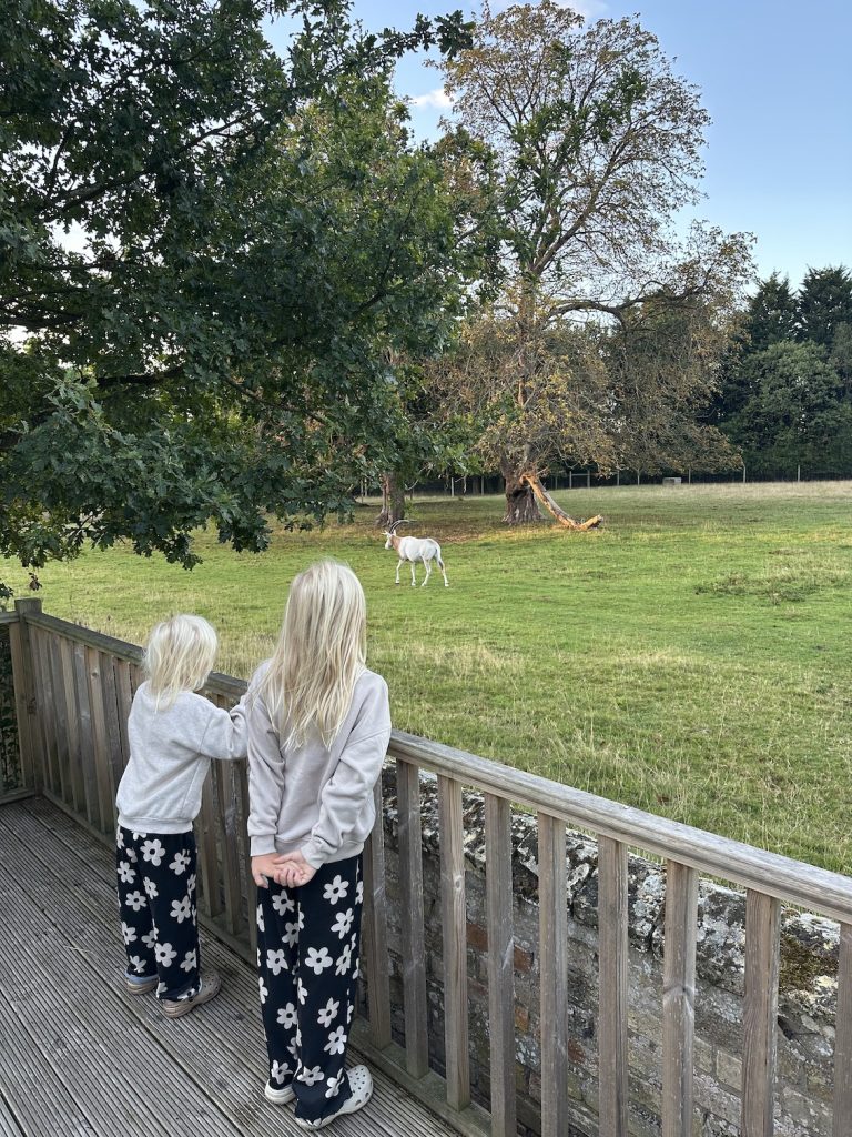 Stable Cottage private paddock 768x1024
