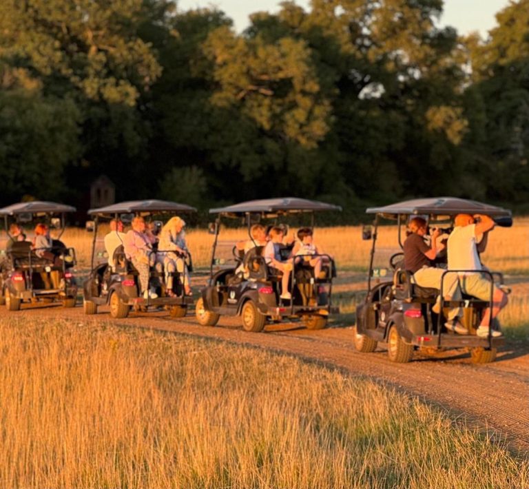 Twilight Tour 768x710