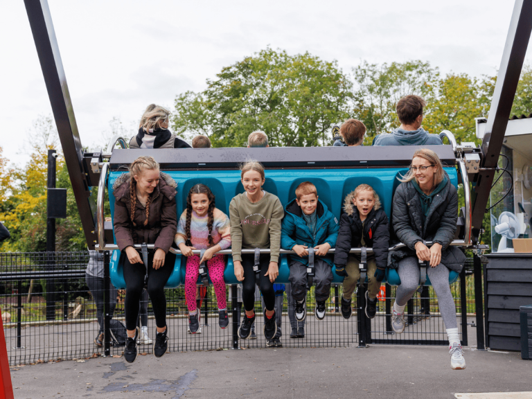 ROARR PHOTOS26 1 768x576