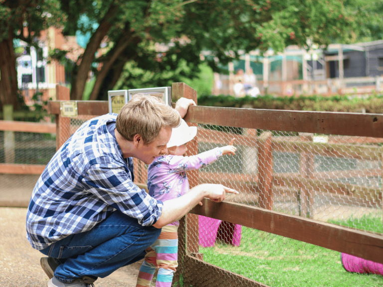 ROARR PHOTOS26 6 768x576