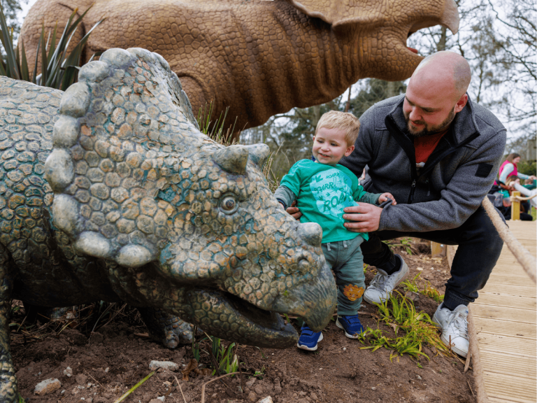 Untitled design 16 768x576