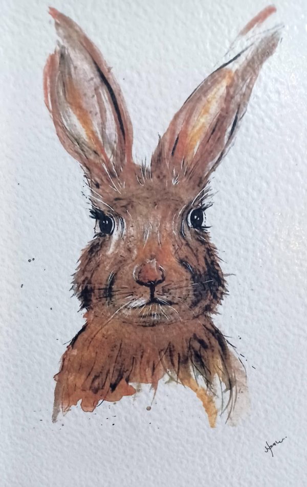 Hare