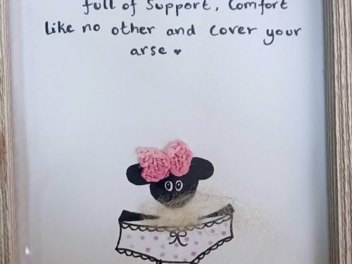 Best friends are like big knickers