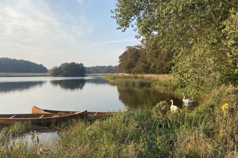 Image 18 04 2025 at 12.16 768x512