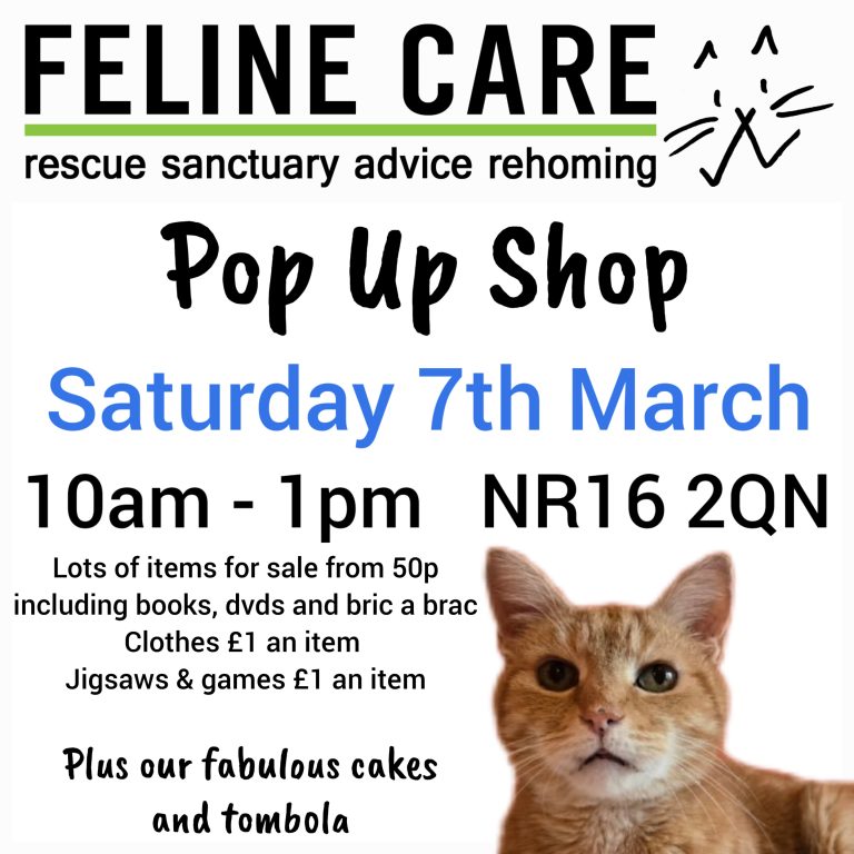 Lumii 20260202 132120199 768x768