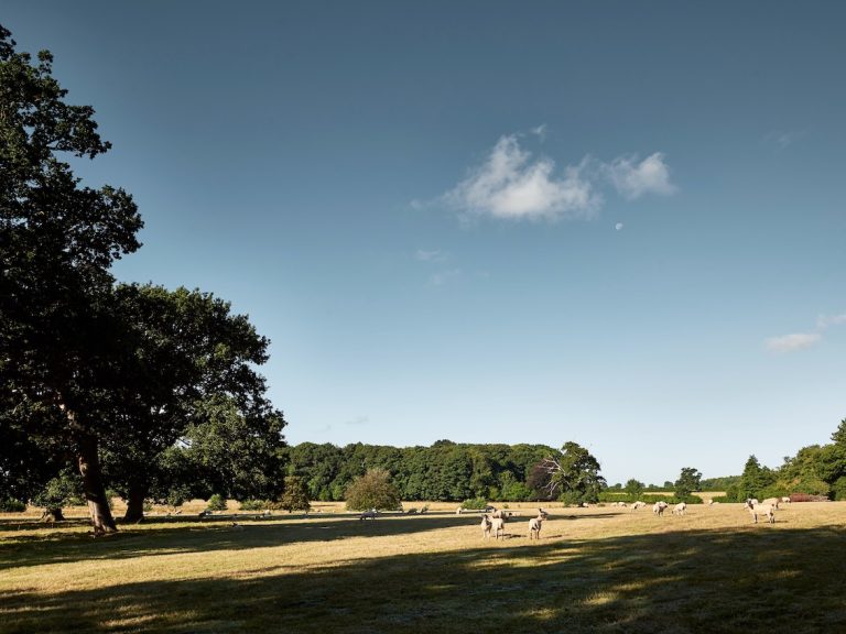 Wolterton Hall gardens RT 8 1 768x576