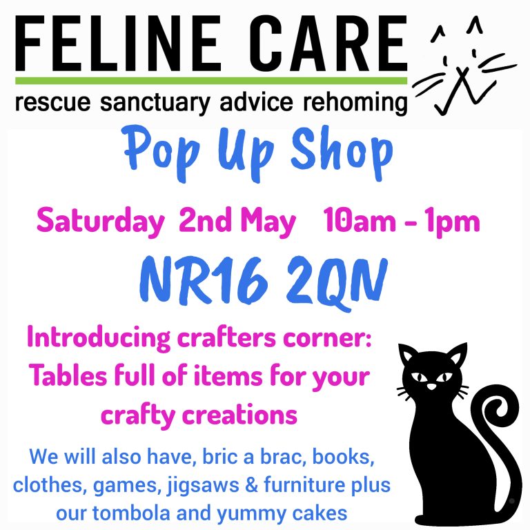 Lumii 20260401 130823590 768x768