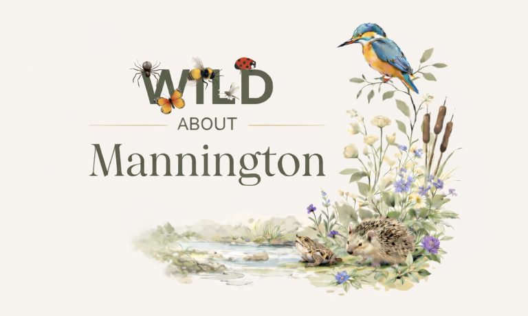 WILD ABOUT MANN 768x461