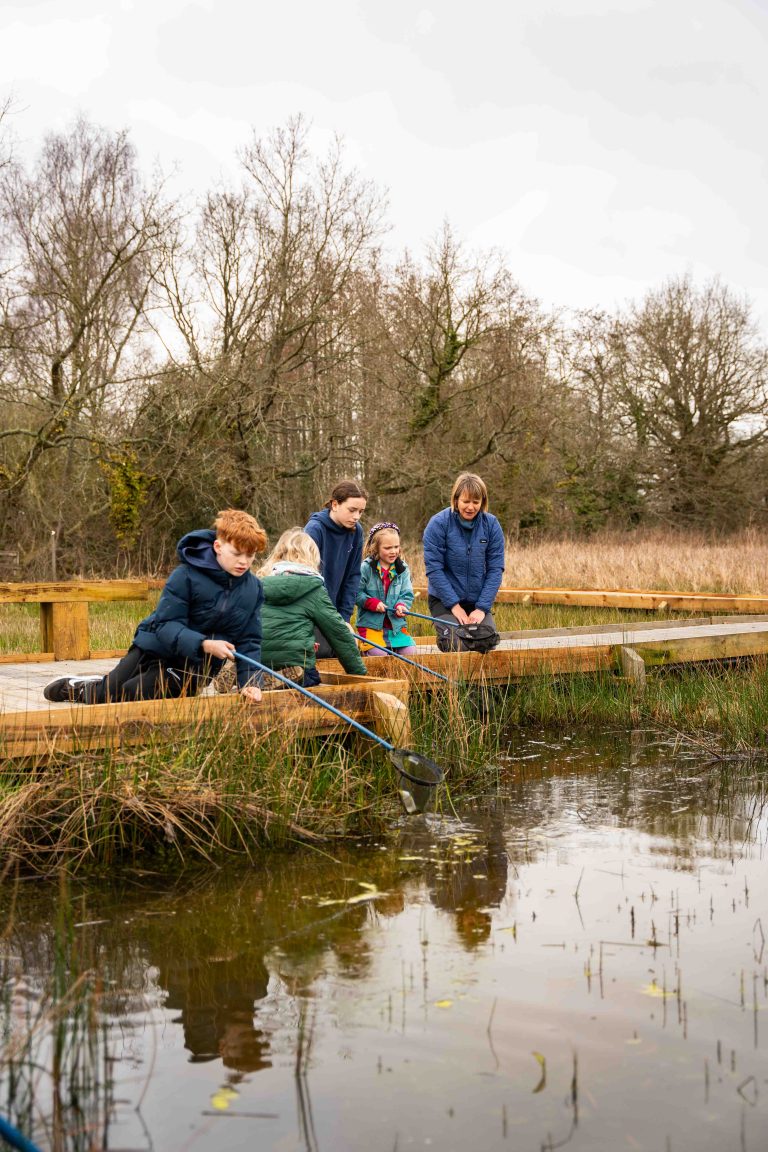 pond dipping 1 768x1152
