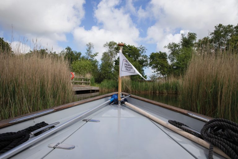 Hickling boat trip Jimmy King 3 768x512