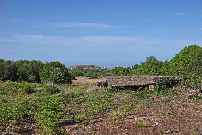 North Norfolk Local Group Beeston Common Pill box Hill 1 768x512