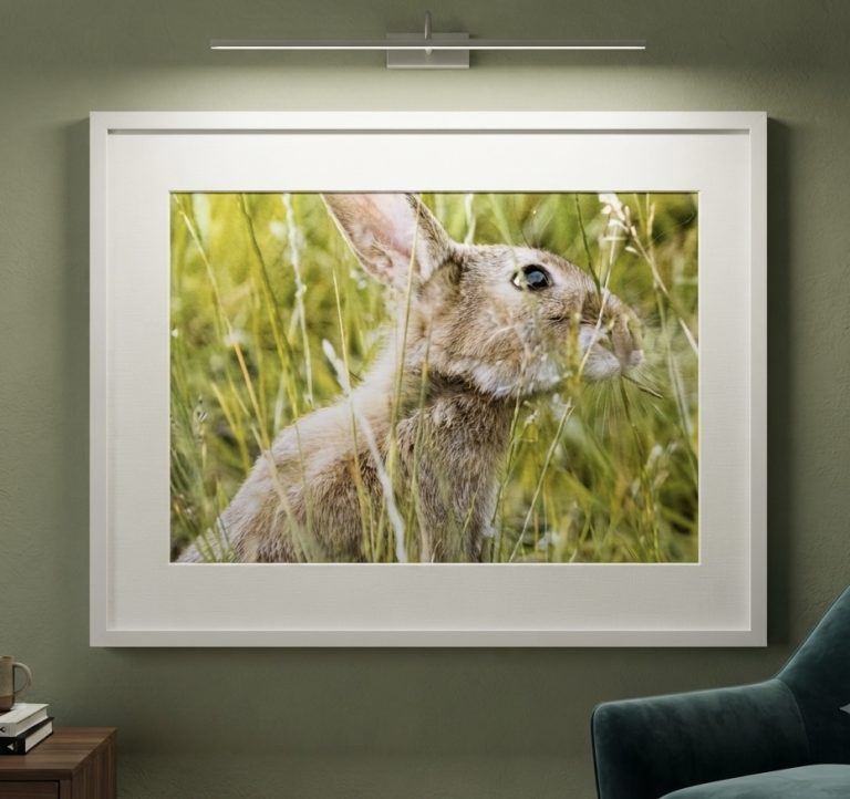 Bev Hare 768x722
