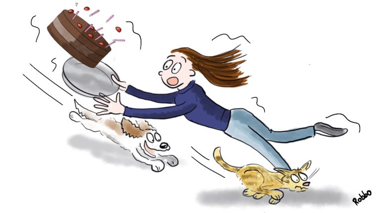 cartooncakedogcat 768x431