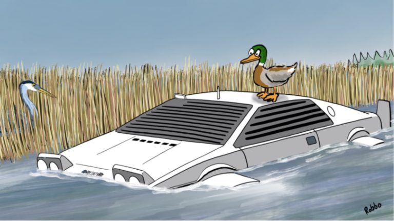 cartoonduck 768x431